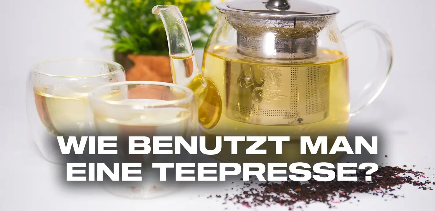 Wie benutzt man eine Teepresse?
