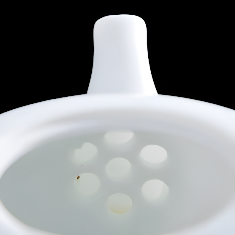 Beste chinesische Teekannen