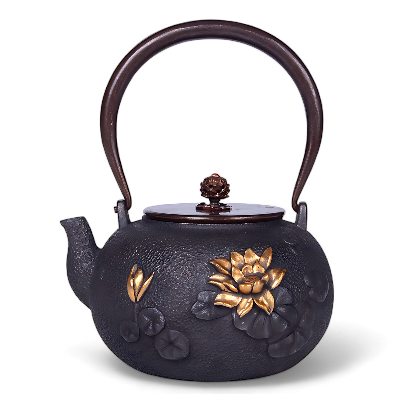 Chinesische gusseisen teekanne