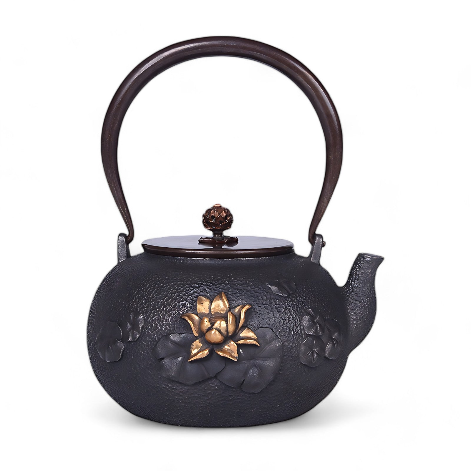 Chinesische gusseisen teekanne