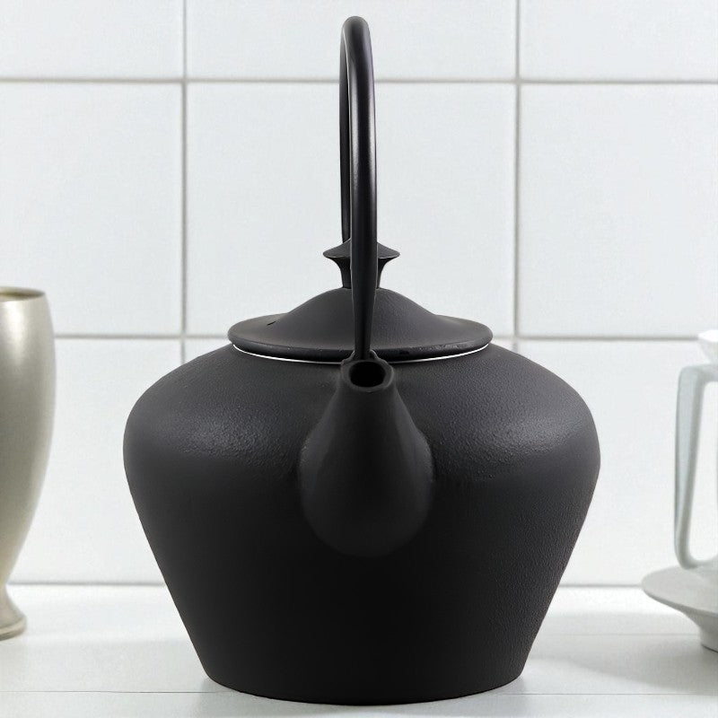 Japanische Gusseisen Teekanne Wasserkocher