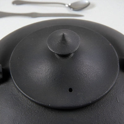 Japanische Gusseisen Teekanne Wasserkocher