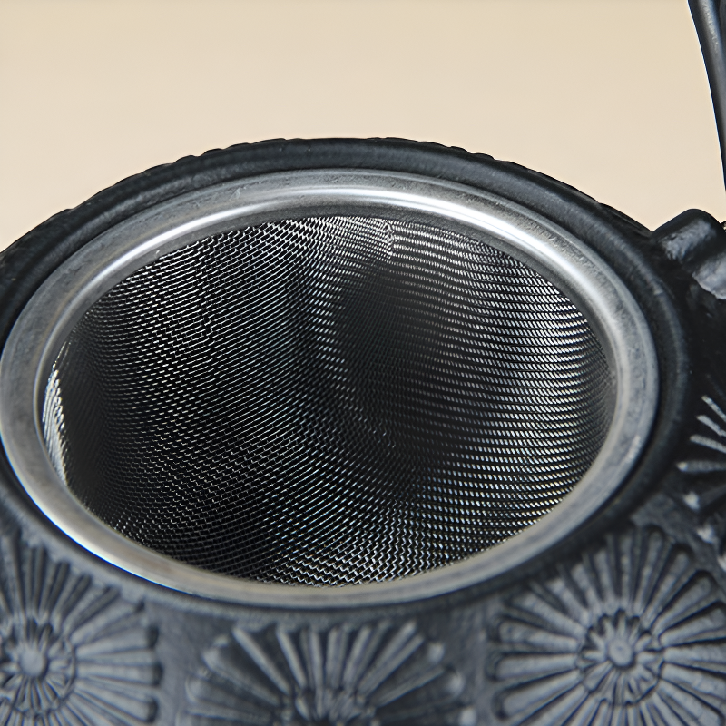 Japanische Gusseisen Teekanne Wasserkocher