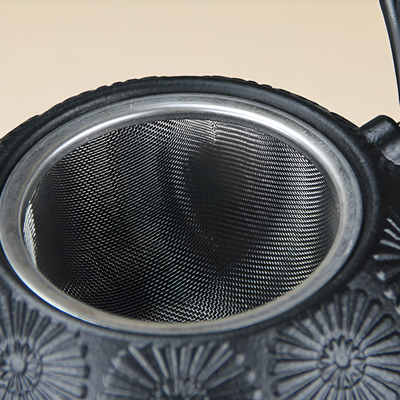 Japanische Gusseisen Teekanne Wasserkocher