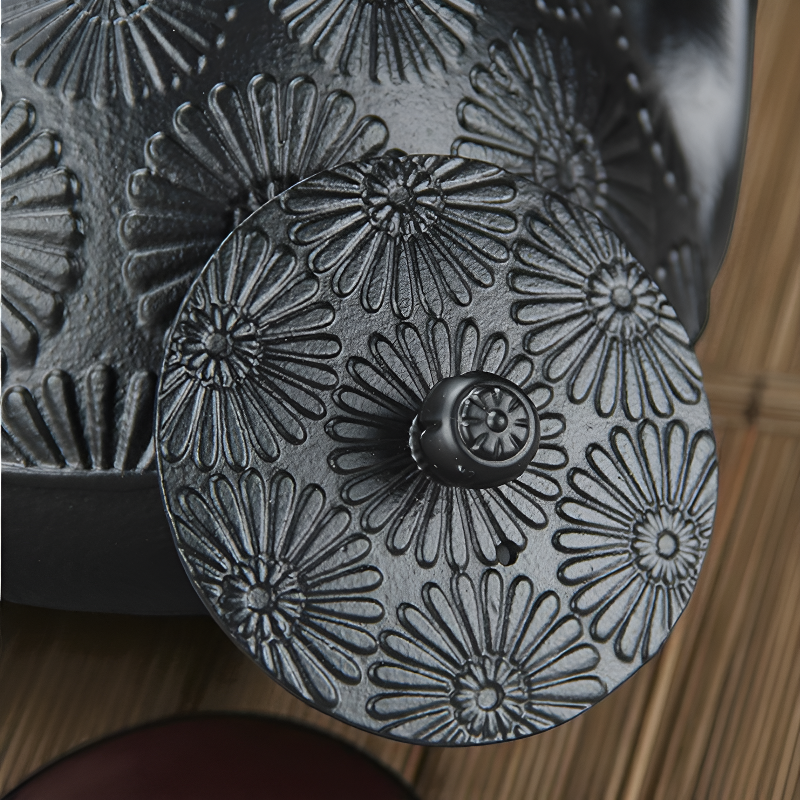 Japanische Gusseisen Teekanne Wasserkocher