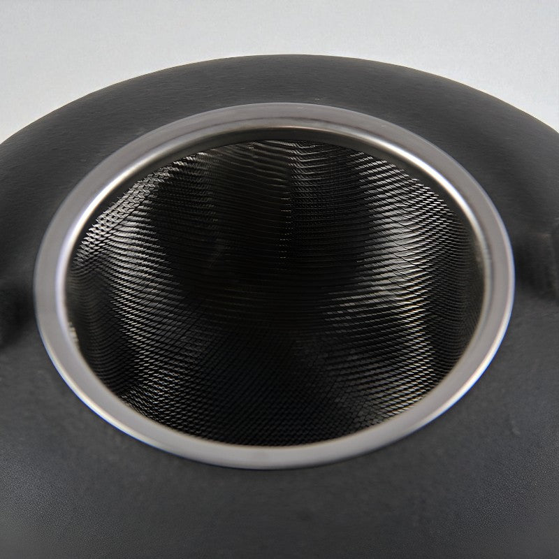 Japanische Gusseisen Teekanne Wasserkocher