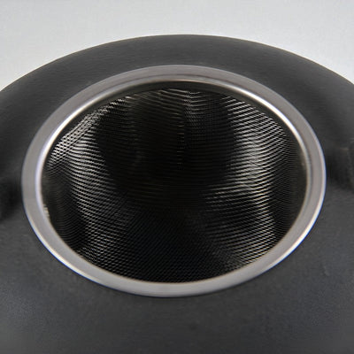 Japanische Gusseisen Teekanne Wasserkocher