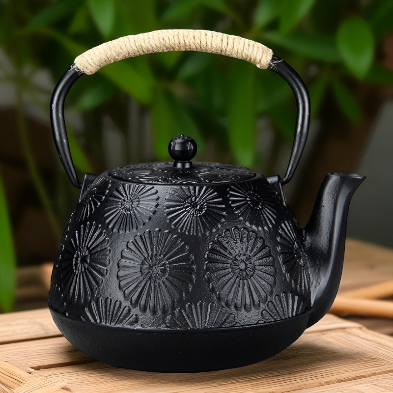 Japanische Gusseisen Teekanne Wasserkocher