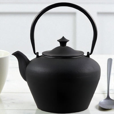 Japanische Gusseisen Teekanne Wasserkocher