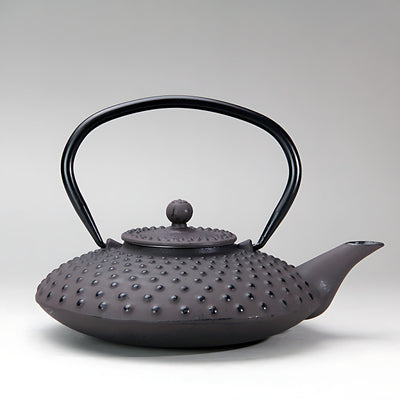 Japanische teekanne gusseisen antik
