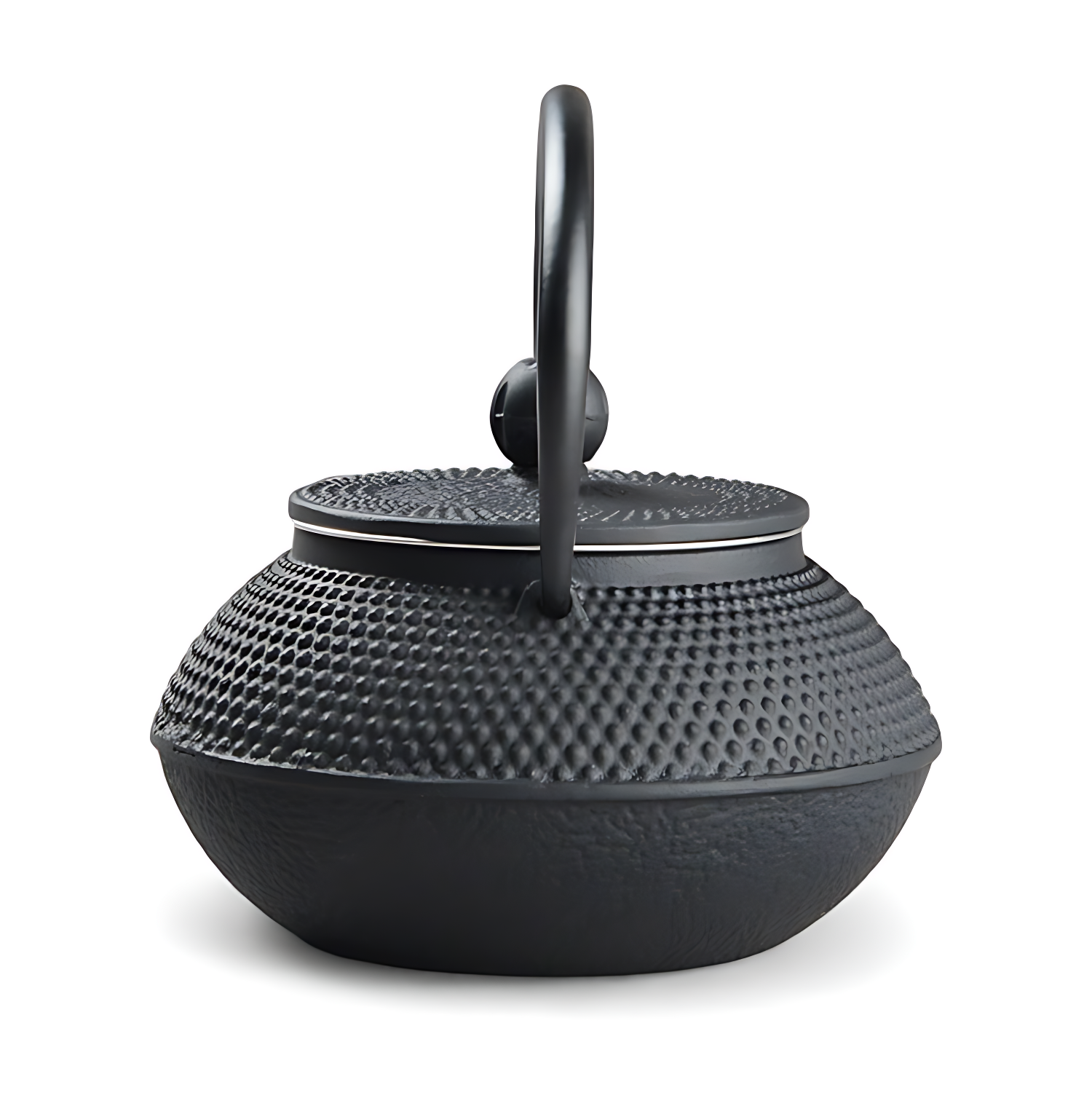 Japanische teekanne gusseisen iwachu