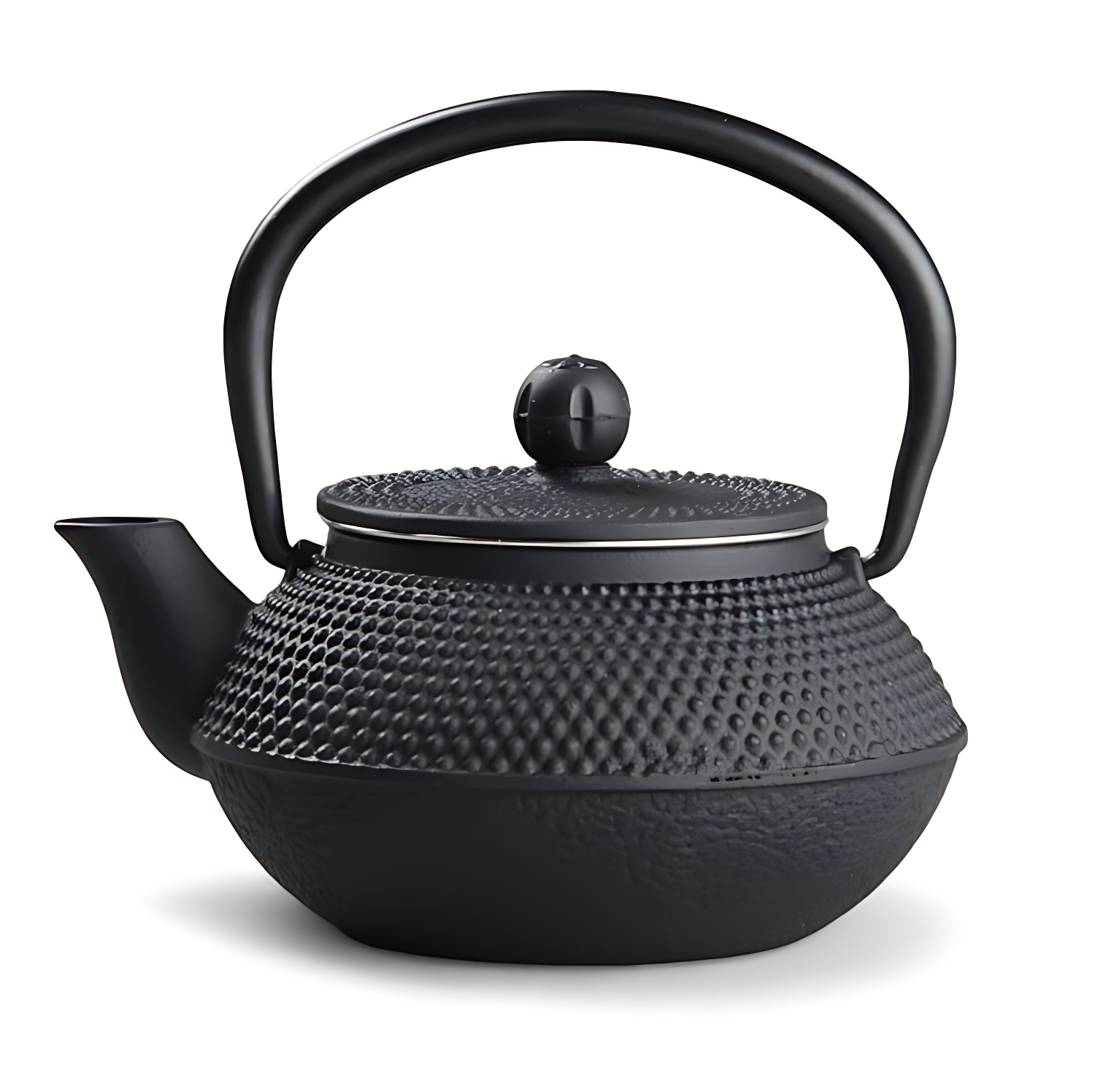 Japanische teekanne gusseisen iwachu