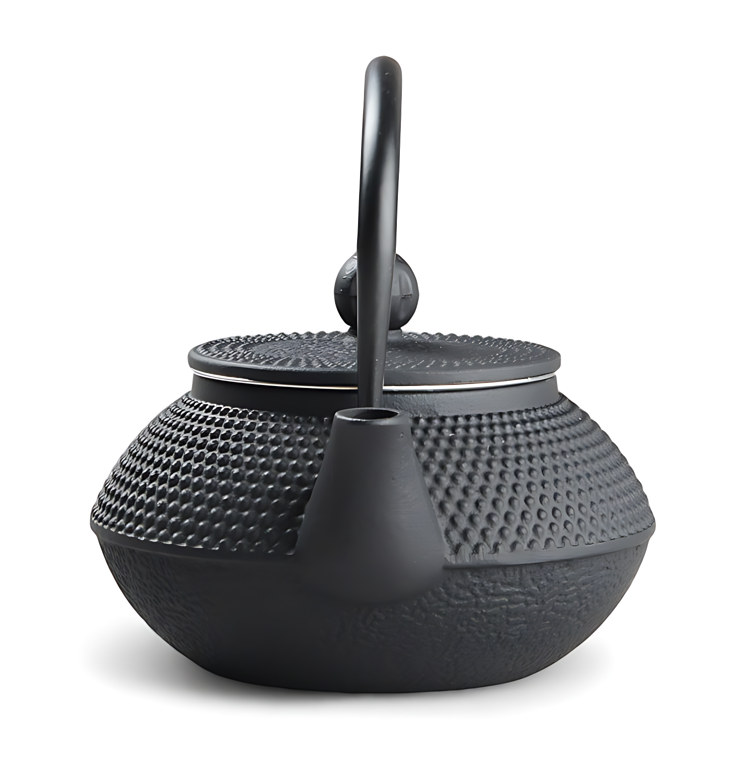 Japanische teekanne gusseisen iwachu