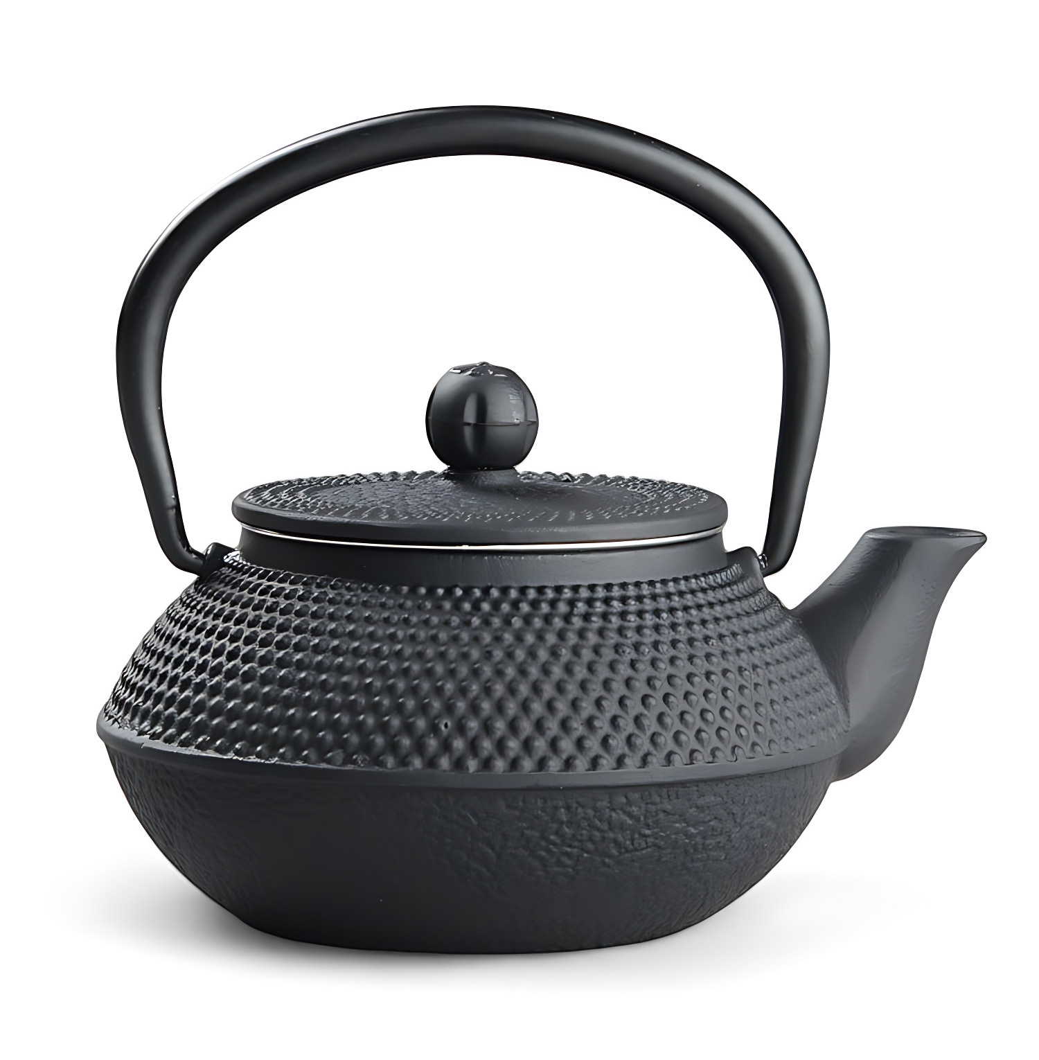 Japanische teekanne gusseisen iwachu