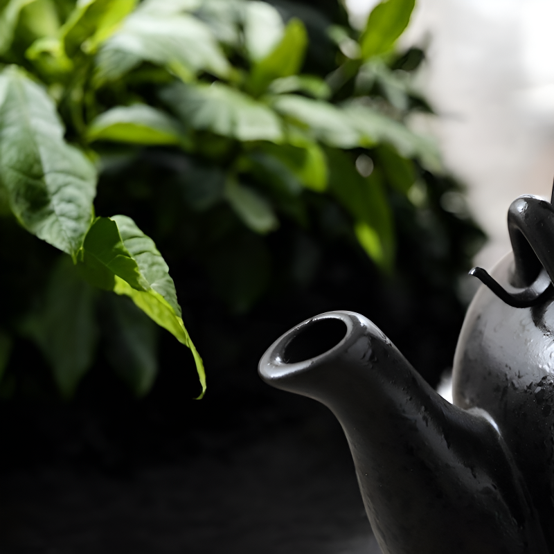 Japanisches Teeset Kirschblüten