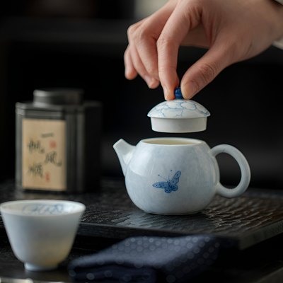 Schöne Porzellan Teekanne