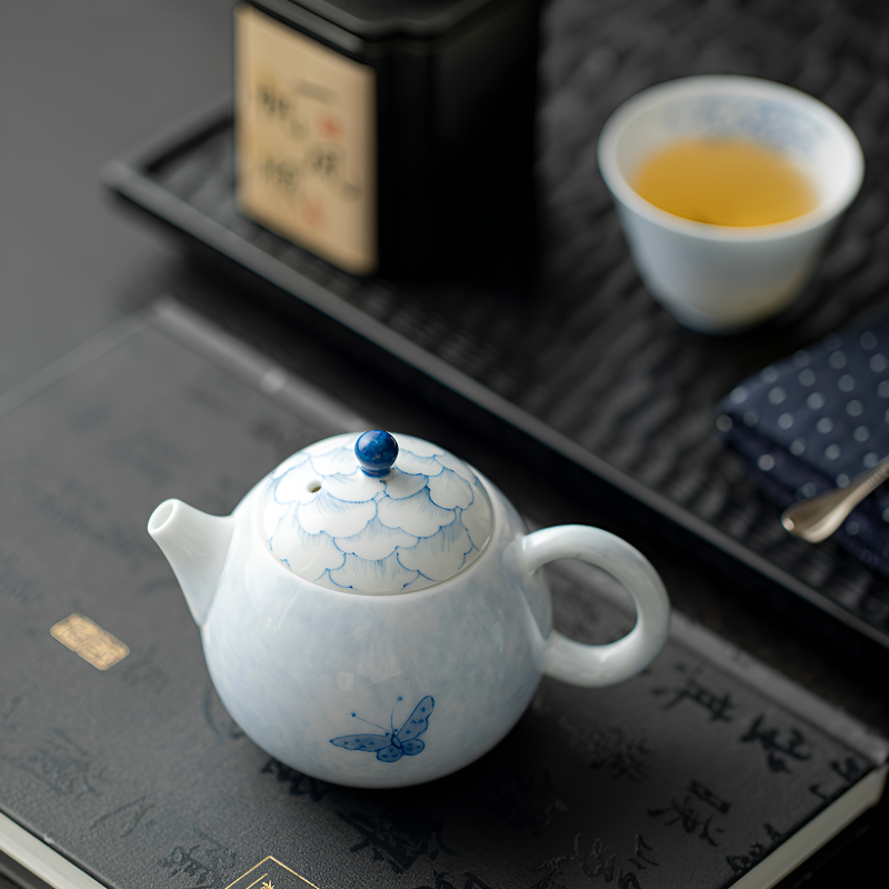 Schöne Porzellan Teekanne