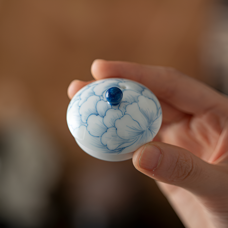 Schöne Porzellan Teekanne