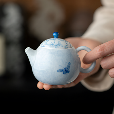 Schöne Porzellan Teekanne