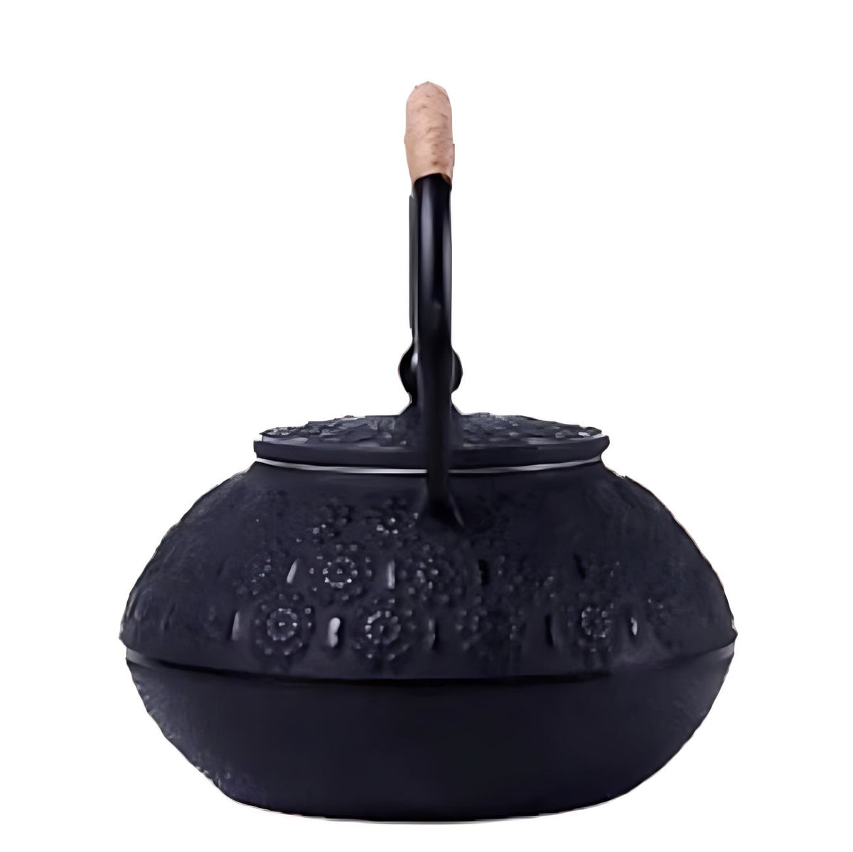 DOITOOL Gusseisen Teekanne - Mit Sieb Induktion 1,2L Schwarz