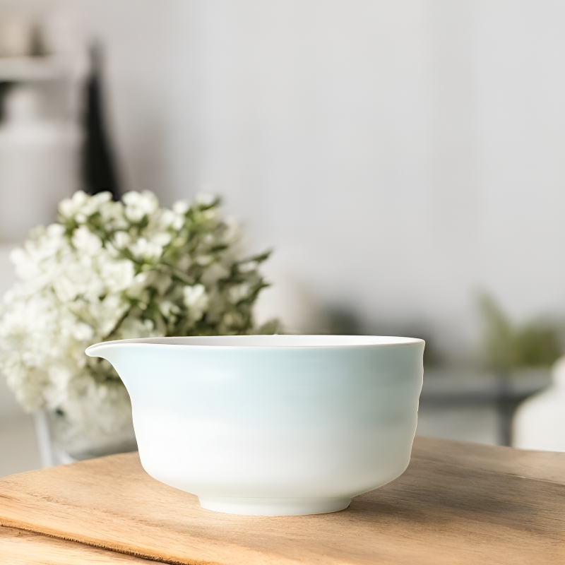 Traditionelle Chawan edle Keramik Schale