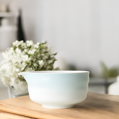 Traditionelle Chawan edle Keramik Schale