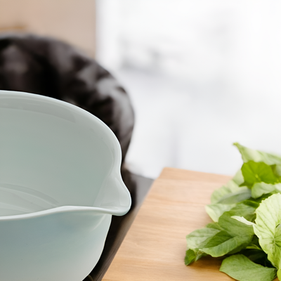 Traditionelle Chawan edle Keramik Schale