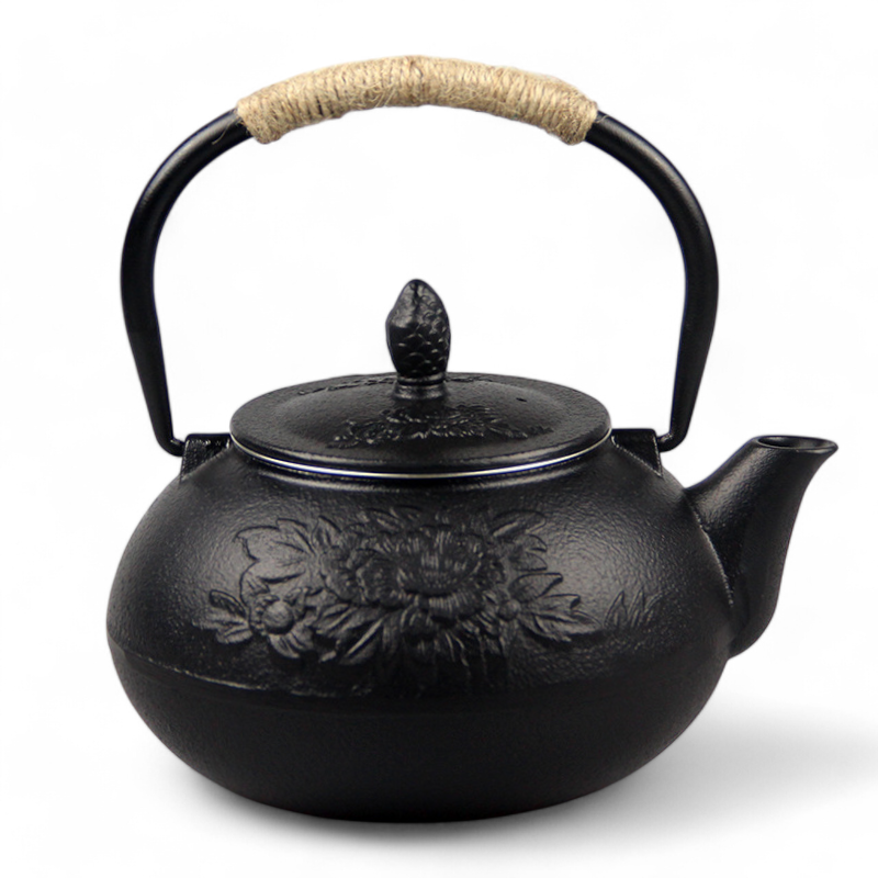 Traditionelle Japanische Teekanne