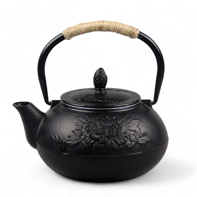 Traditionelle Japanische Teekanne