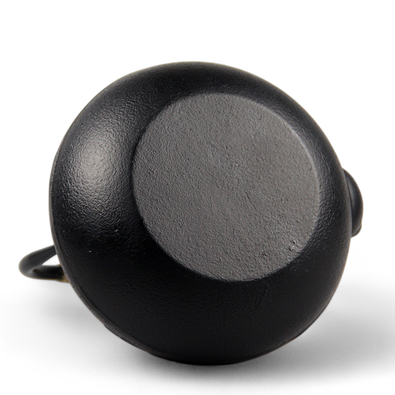 Traditionelle Japanische Teekanne