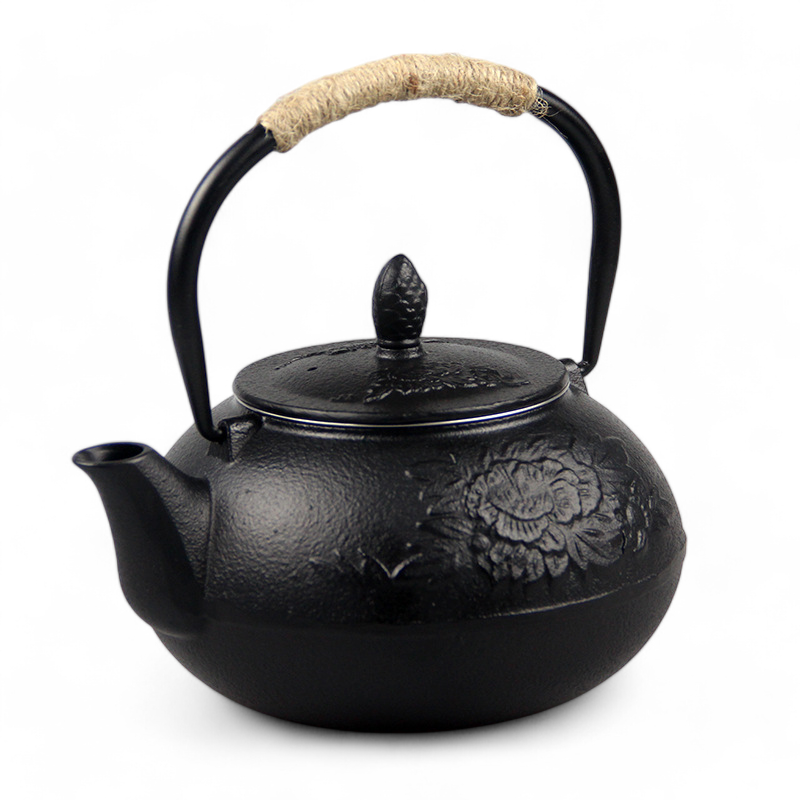 Traditionelle Japanische Teekanne