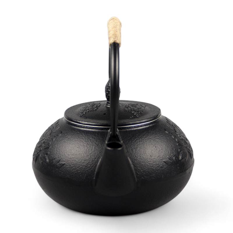 Traditionelle Japanische Teekanne